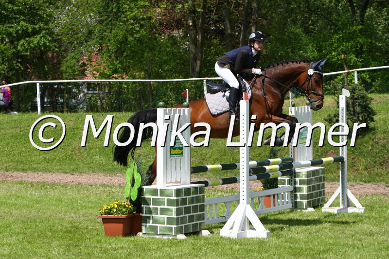 005M4853_Palma-U_Stil A.JPG